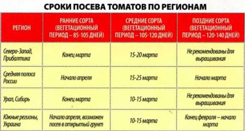 Подготовка почвы к посадке рассады томатов