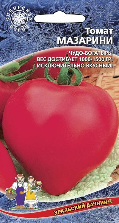 Секреты и особенности выращивания сочных крупноплодных томатов сорта мазарини