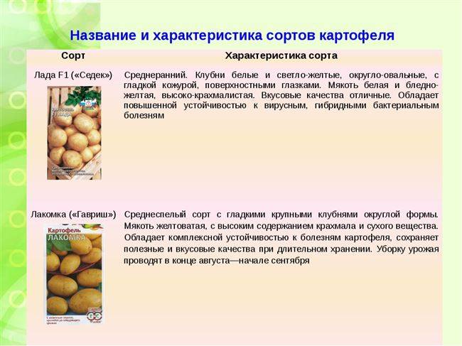 Картофель кемеровчанин описание сорта фото