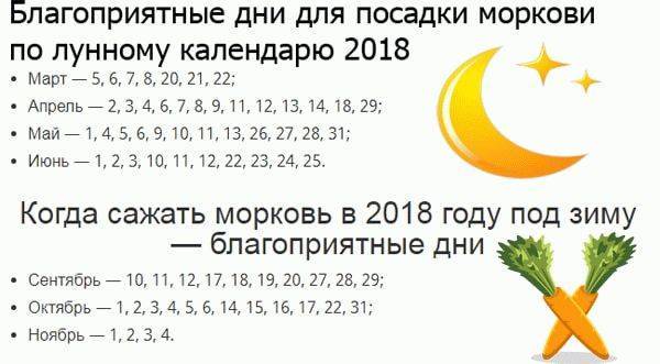 Когда убирать морковь с грядки на хранение в 2023 году по лунному календарю: самые благоприятные дни чтоб выкапывать морковь в подмосковье и московской области, на урале и в сибири, ленинградской области