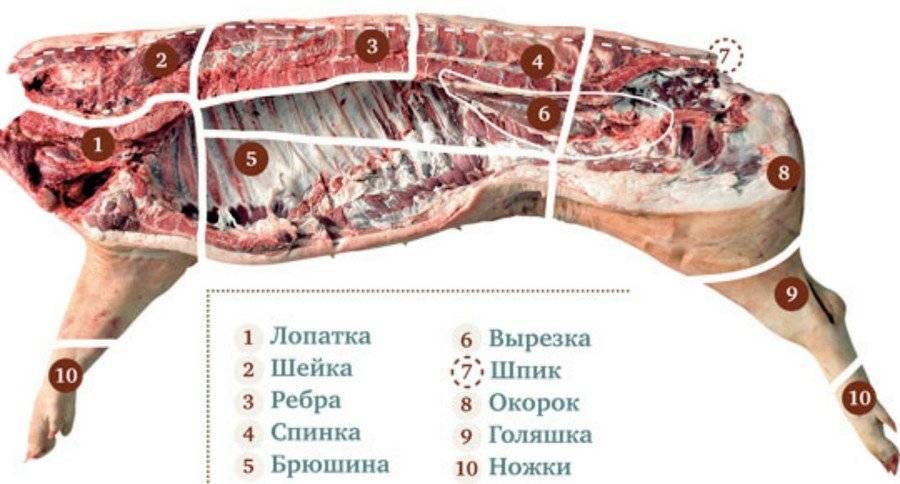 Разделка свинины: подготовка, схемы, порядок и расчет выхода мяса