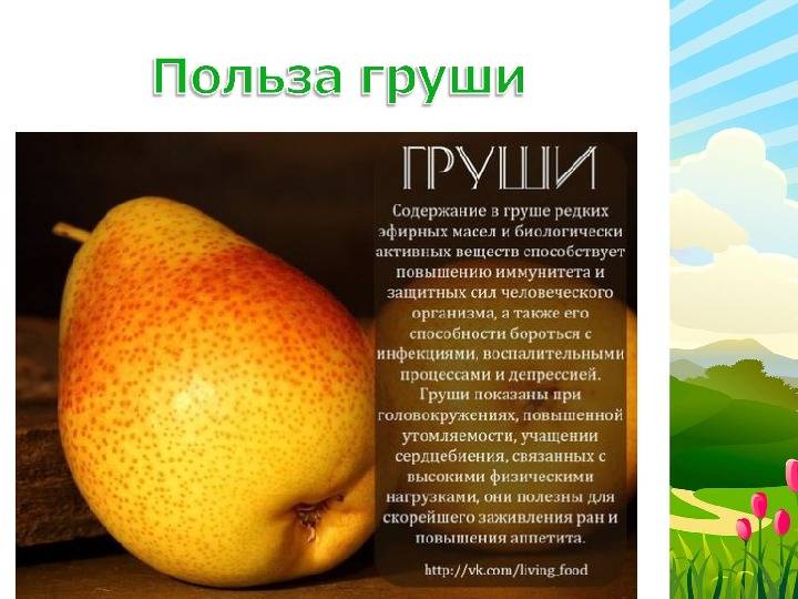Пациентам: польза и вред куриных яиц