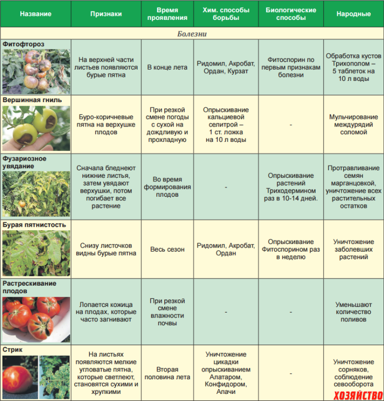 Болезни тепличных и овощных культур