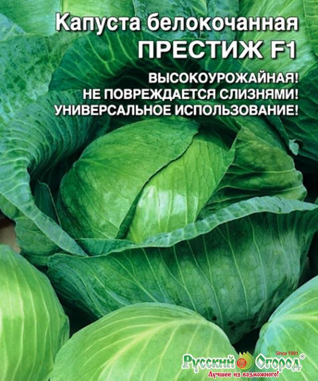 Лучшие сорта капусты