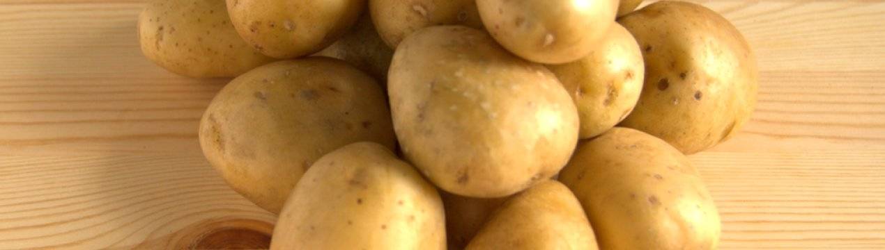 Картофель "импала": описание сорта, фото, отзывы
