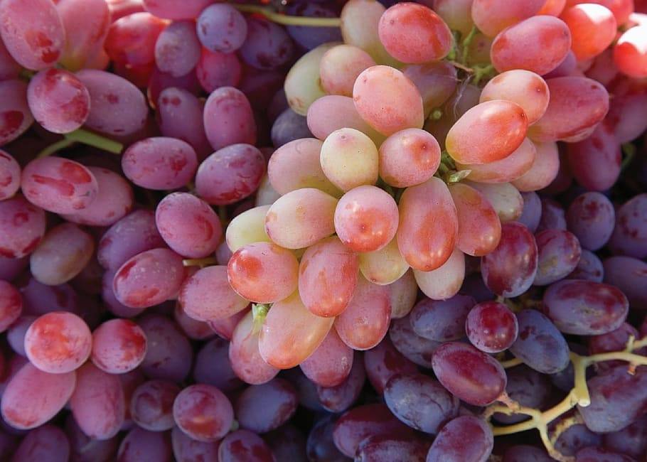 Лучший рецепт приготовления вина из винограда сорта тайфи в домашних условиях