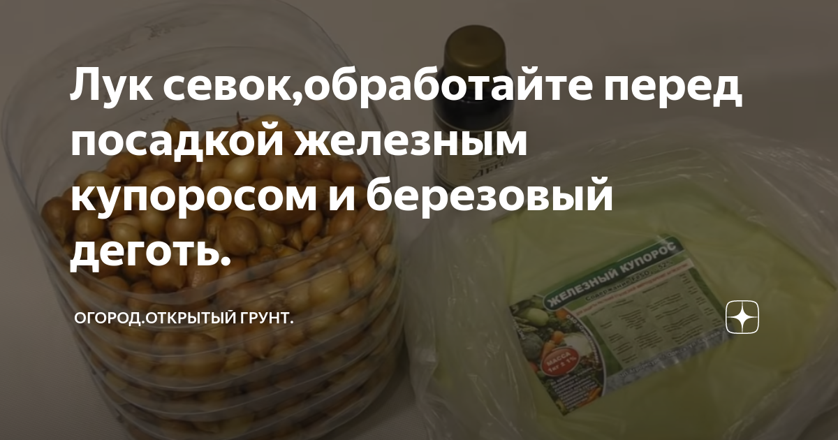 Замочить лук в солевом растворе перед посадкой. Обработка лук железным купоросом.