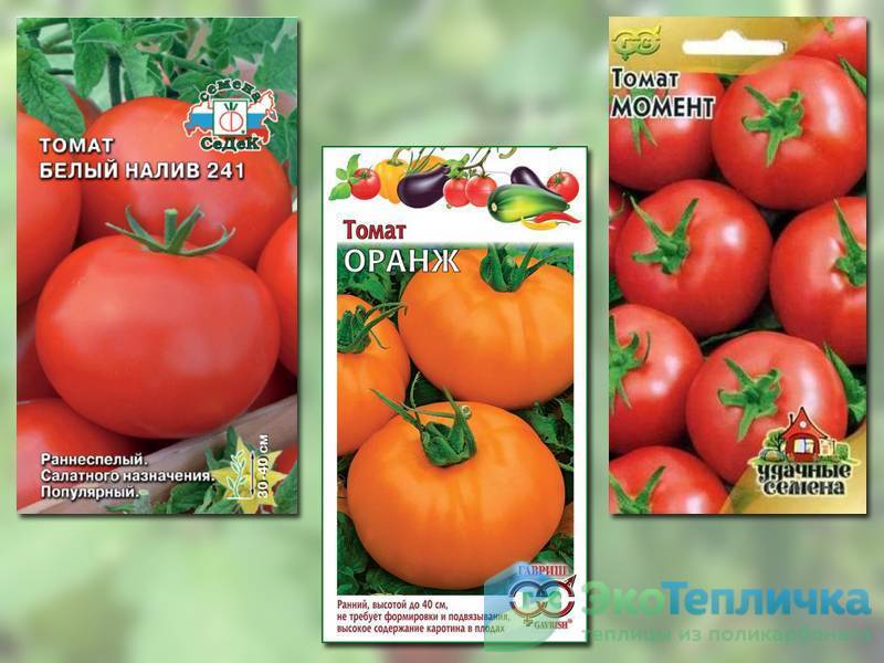 Лучшие сорта непасынкующихся томатов с описанием и фото