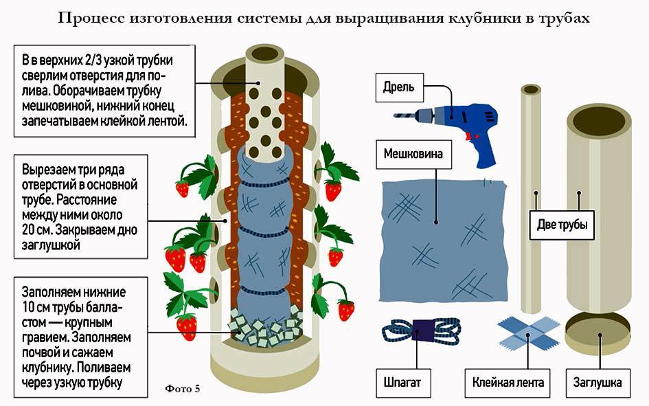 Выращивание клубники в трубах ПВХ горизонтально и вертикально