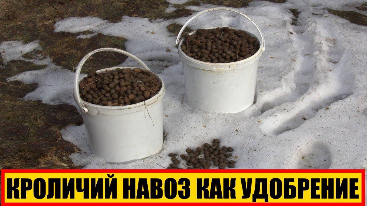 Удобрение из кроличьего помета