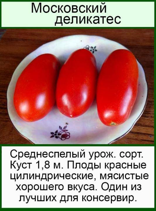 Томат московский деликатес: отзывы, фото, урожайность