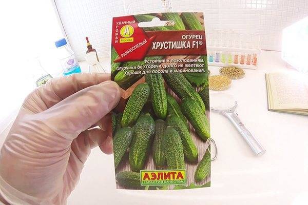 Огурец Хрустишка F1