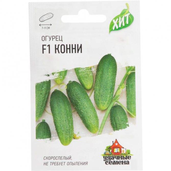 Ранние огурцы конни