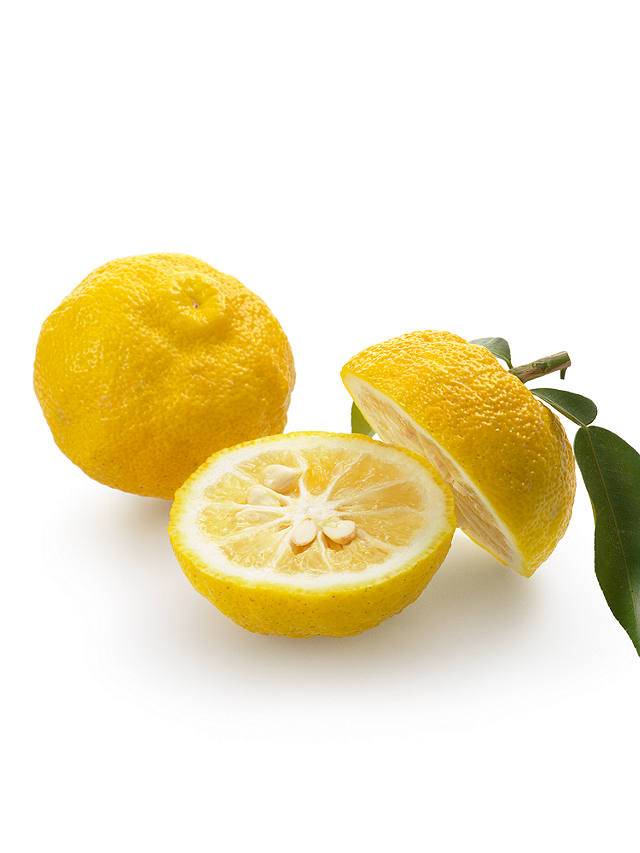 Японский лимон юзу фрукт: фото, описание
