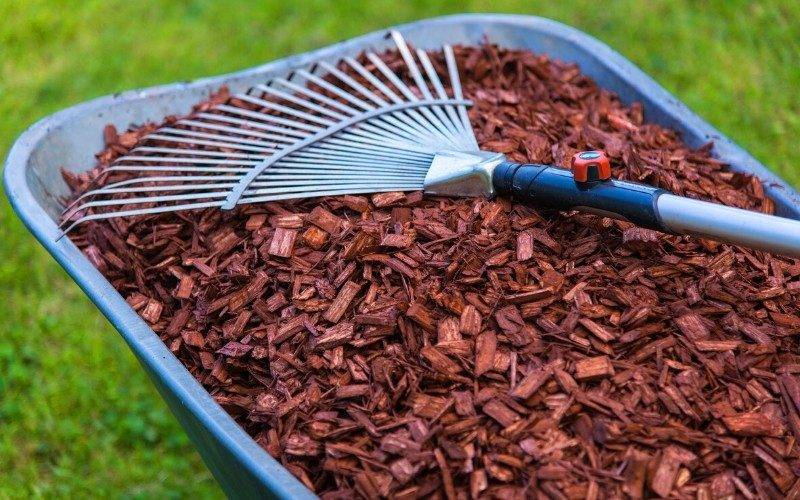 Мульчирование сосновой корой - секрет красивых цветников