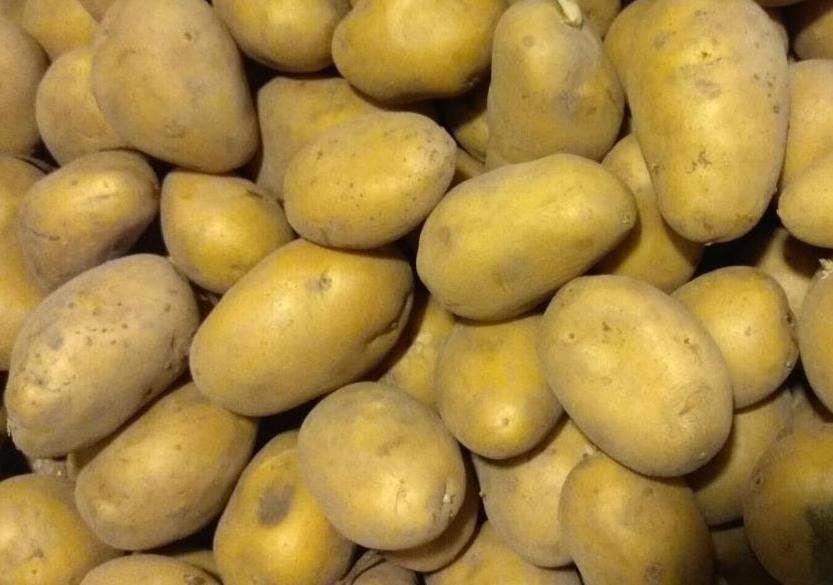 Сорт картофеля «краса»: описание, выращивание и уход: характеристики, свойства, методы