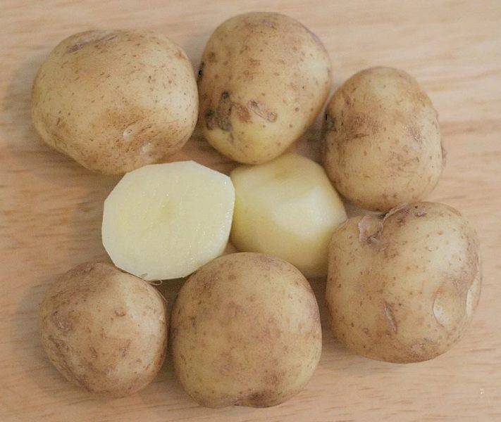 Картофель лидер: описание сорта, фото, отзывы огородников