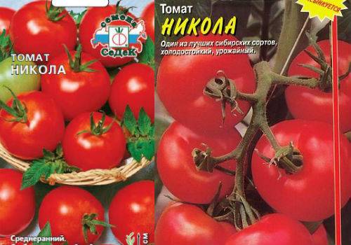 Сорт томата никола: описание и характеристика, фото