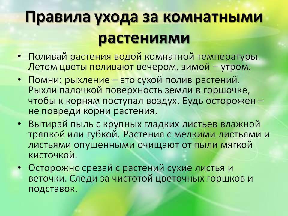 Уход за комнатными растениями презентация 1 класс