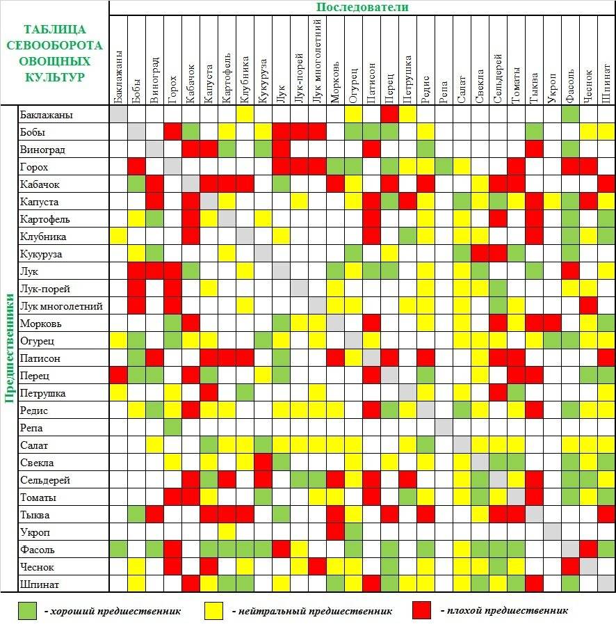 Типы севооборотов овощных культур