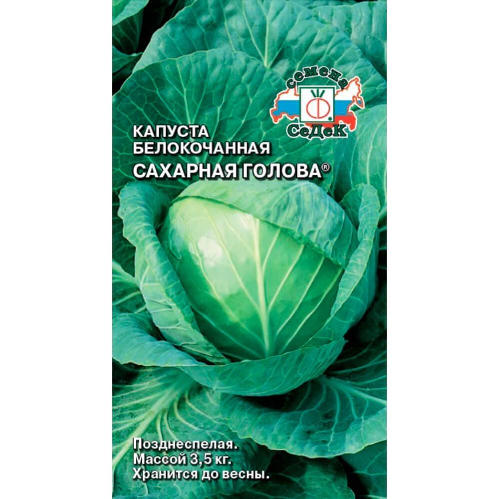 Капуста сахарная голова: описание сорта, фото и отзывы