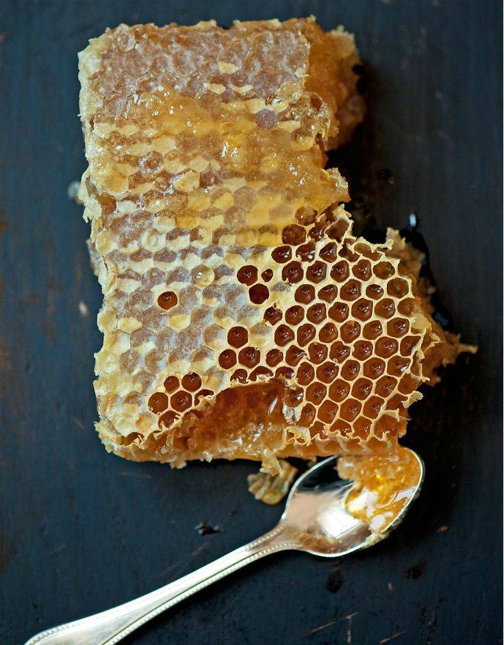 Как правильно употреблять пчелиные соты