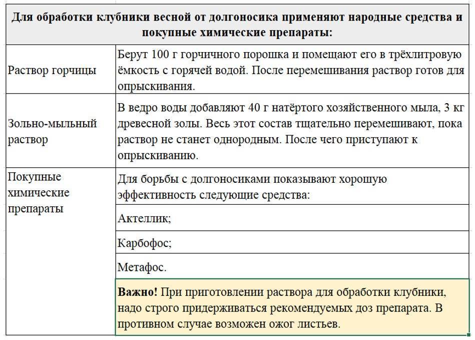 Схема обработки клубники весной от болезней и вредителей