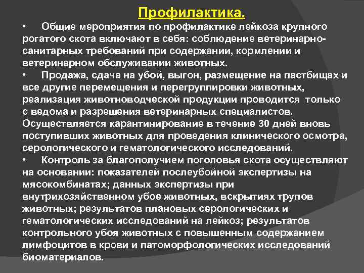 Правила лейкоз. Профилактика лейкоза. План мероприятий по профилактике лейкоза КРС. И профилактических мероприятиях при лейкозе.. Профилактика лейкоза КРС.