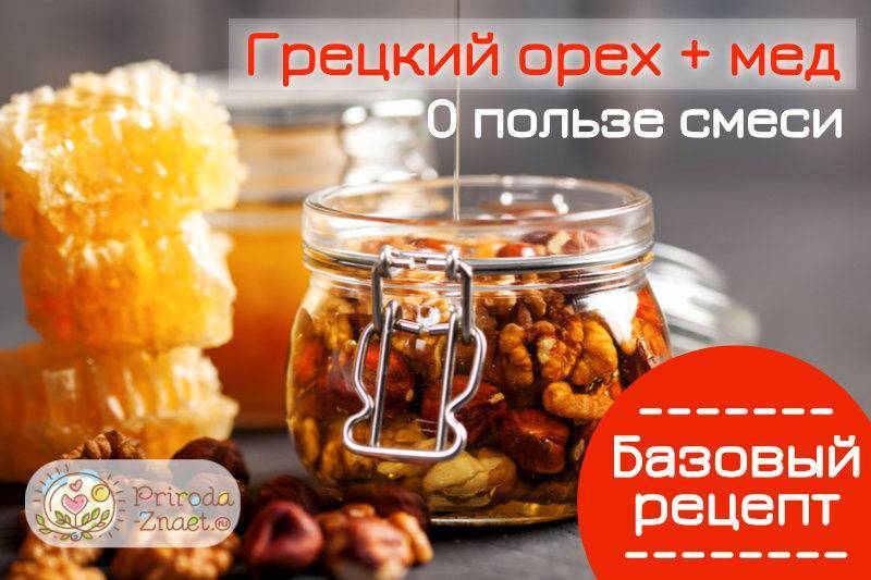 Грецкие орехи с медом - польза и вред для мужчин, женщин, как принимать