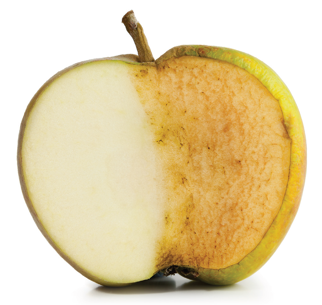 Как сохранить разрезанное яблоко от потемнения. отвечаем на вопросы. почему яблоко темнеет на срезе