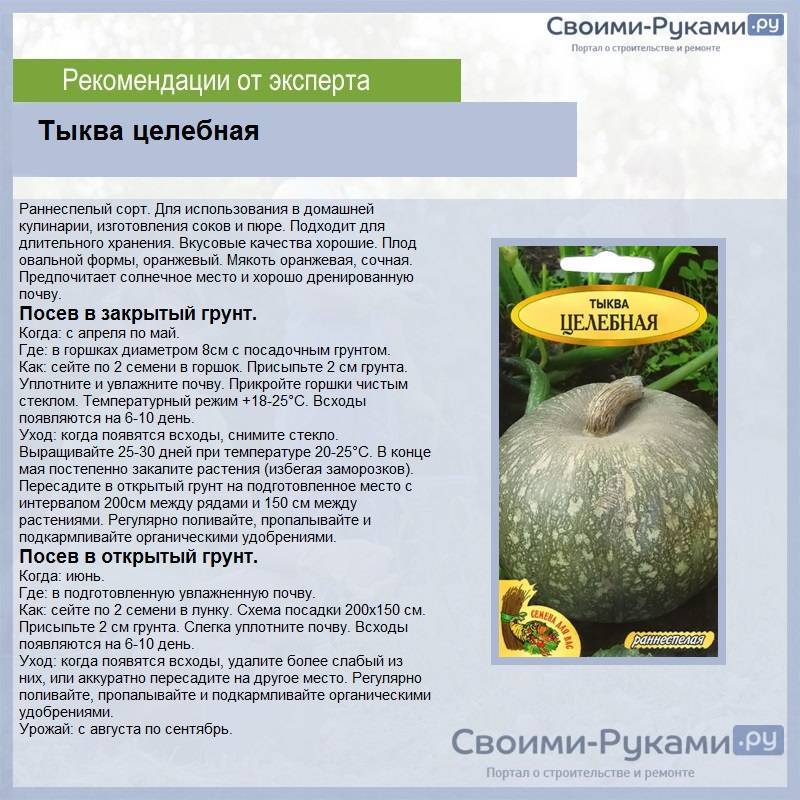 Тыква мускатная