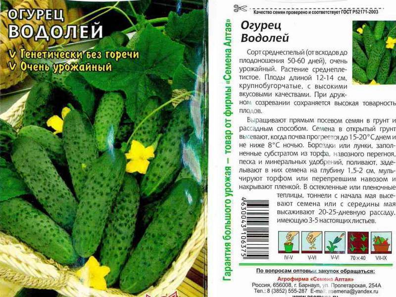 Огурец водолей: описание сорта, посадка и уход, фото, отзывы