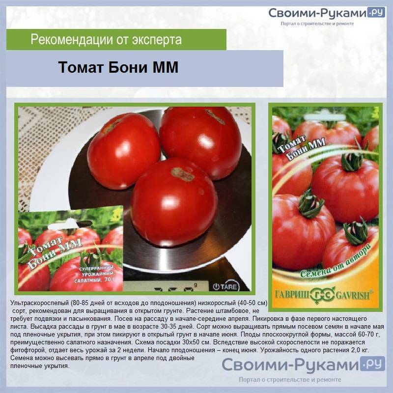 Лучшие салатные сорта томатов для россии и ее регионов