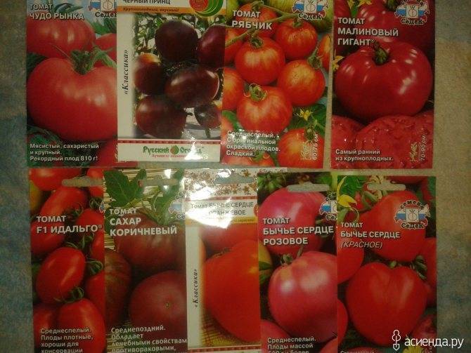 Томат хлебосольный: отзывы, фото, урожайность | tomatland.ru