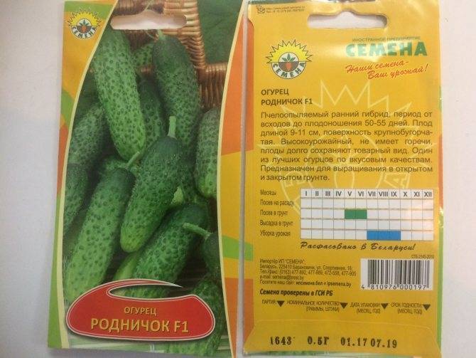 Огурец родничок f1: отзывы, описание сорта, фото