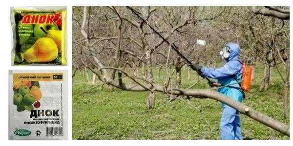 Обработка винограда от вредителей: топ-11 лучших препаратов