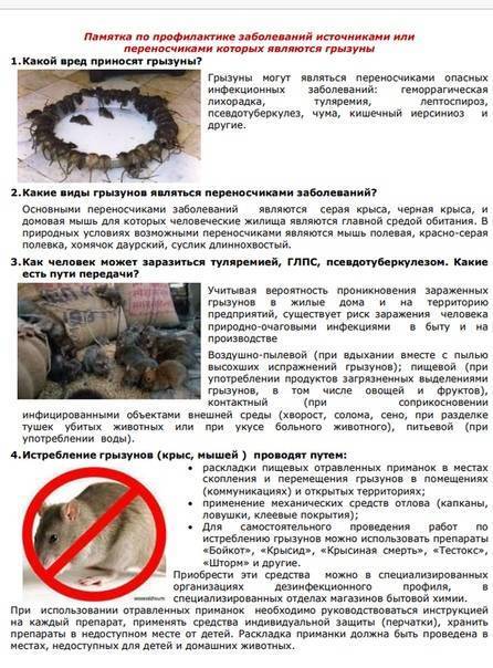 Особо опасные инфекции — условная группа чрезмерно опасных заболеваний - мгцд