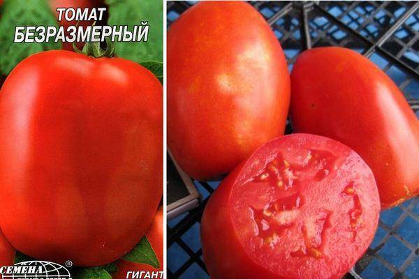 Томат безразмерный характеристика и описание сорта