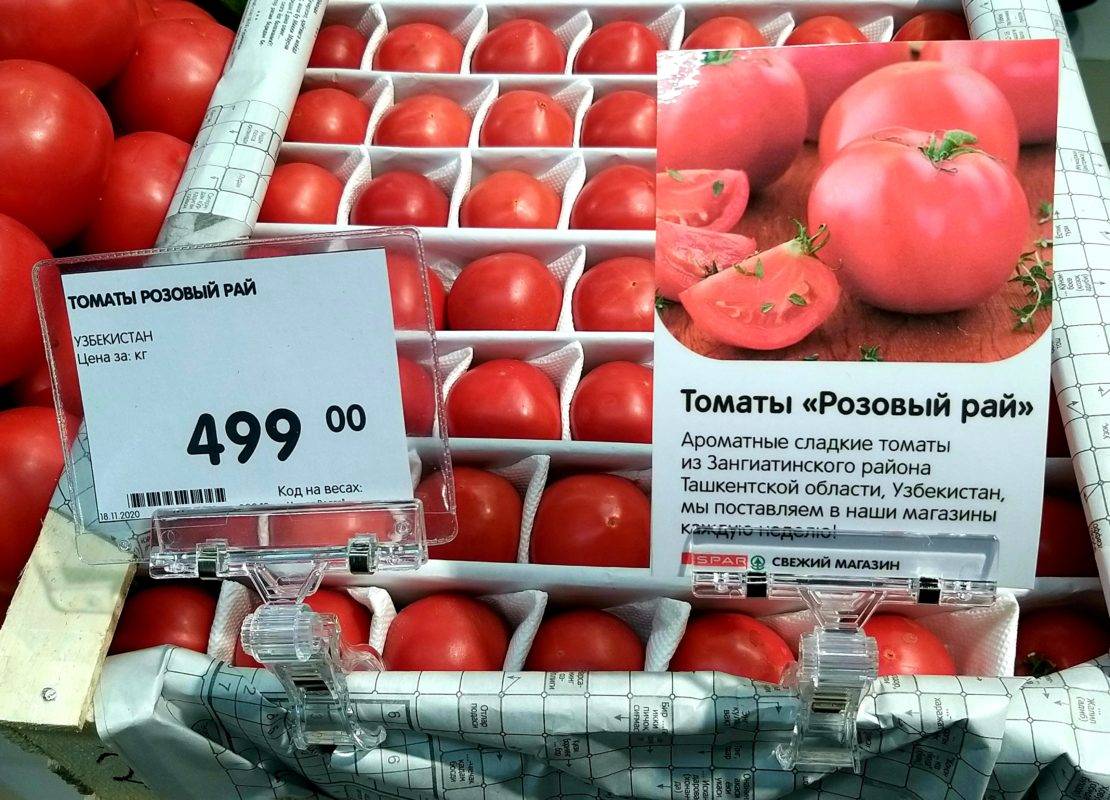 Томат вова путин: характеристика и описание сорта, фото куста и отзывы об урожайности помидоров