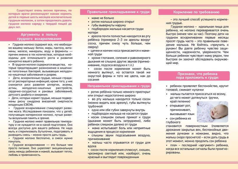 Щавель - польза и вред для организма мужчины и женщины. полезные свойства и противопоказания