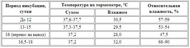 Инкубация перепелиных яиц: вывод перепелов в инкубаторе в домашних условиях, таблица режимов температуры