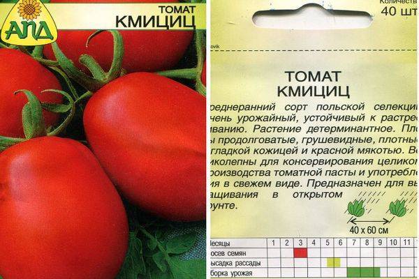 Томат «земляк»: характеристика, описание сорта помидор и их фото, а также советы по выращиванию