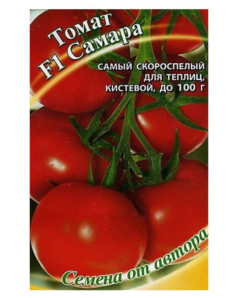 Томат "самара": характеристика и описание сорта, отзывы, фото