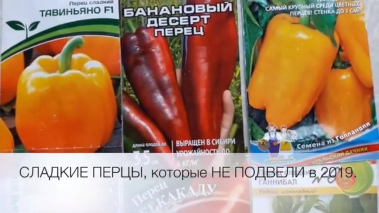 Перец банановый десерт: описание сорта, характеристика плодов, агротехника выращивания и ухода – календарь садовода