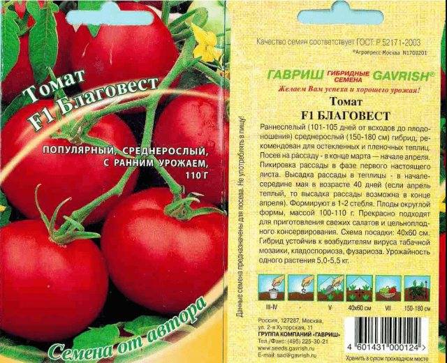 Тепличный томат Благовест — король урожайности и скороспелости