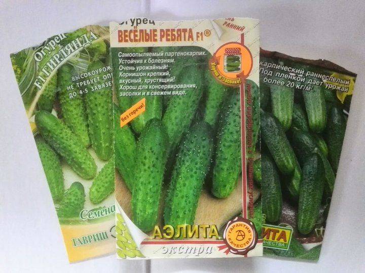 Раннеспелые огурцы для открытого грунта