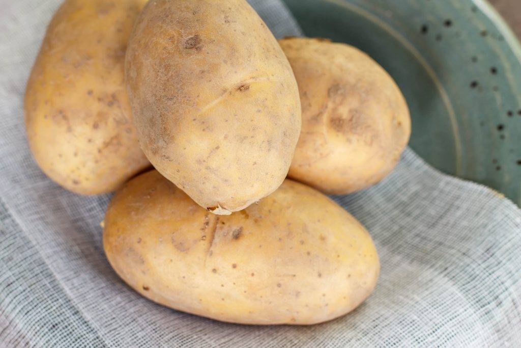 Лучшие сорта картофеля для подмосковья: описание + фото, отзывы 