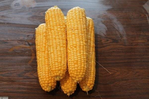 Кукуруза трофи f1: отзывы, посадка и уход