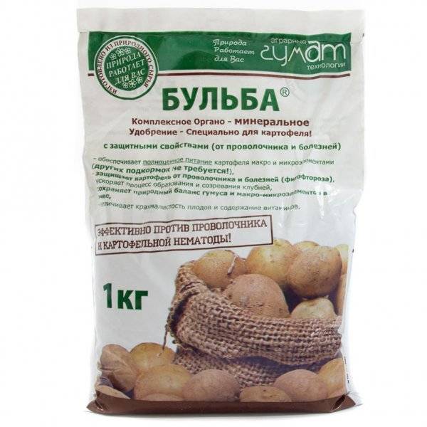 Обработка картофеля перед посадкой: чем обработать картошку от болезней и вредителей