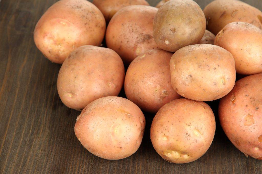 Разновидности картофеля фото и названия
